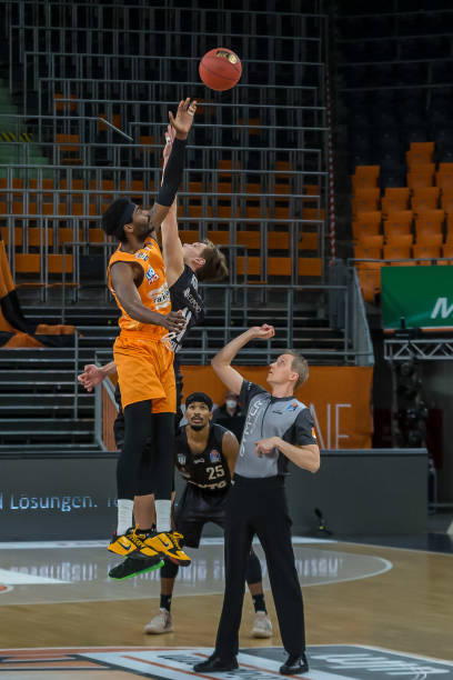 这一领域 这一领域